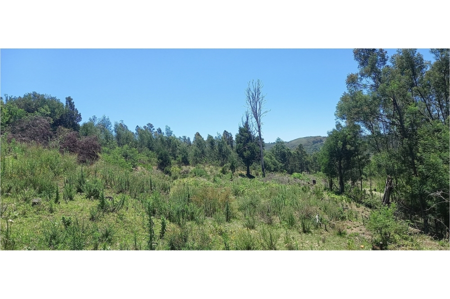 0 Bedroom Property for Sale in Knysna Heights Western Cape